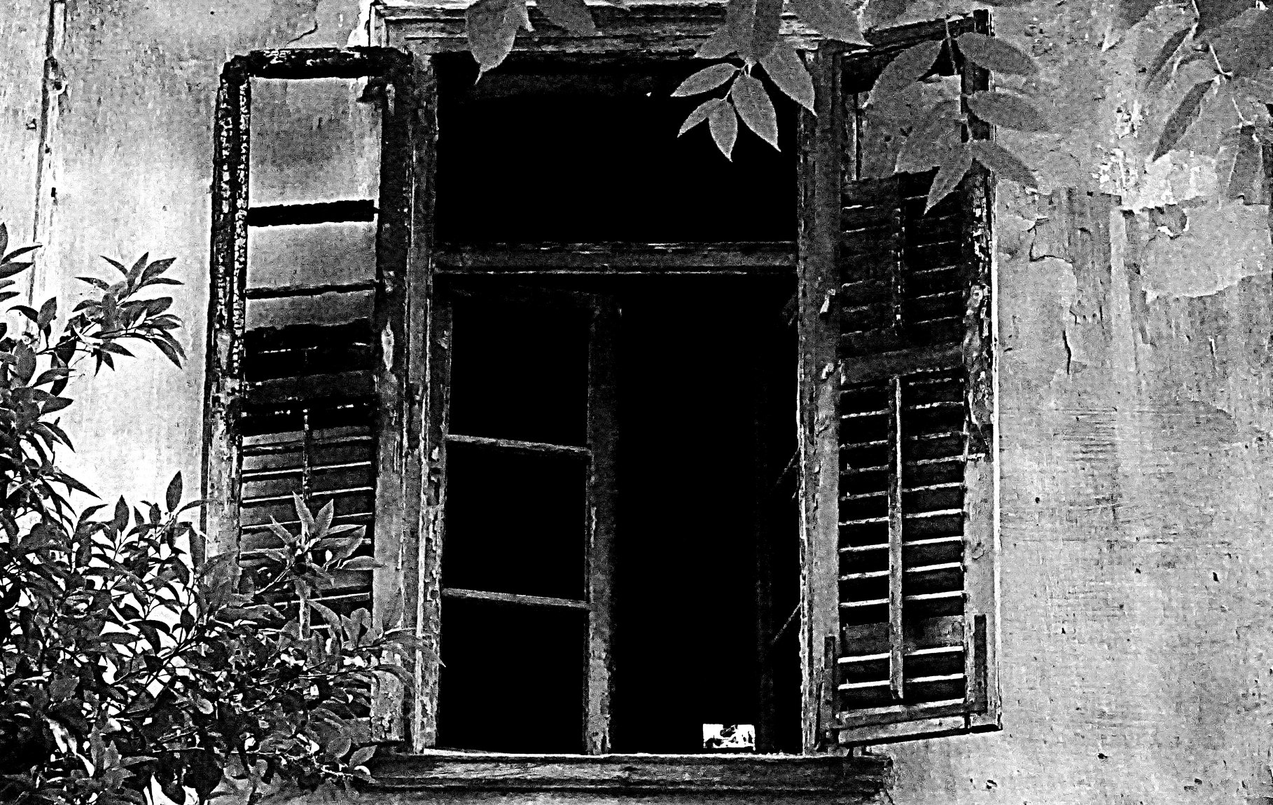ΙΣΤΟΡΙΕΣ ΕΓΚΛΕΙΣΜΟΥ #16 – Γεωργίας Παπαλυμπέρη: Θέα από το παράθυρο